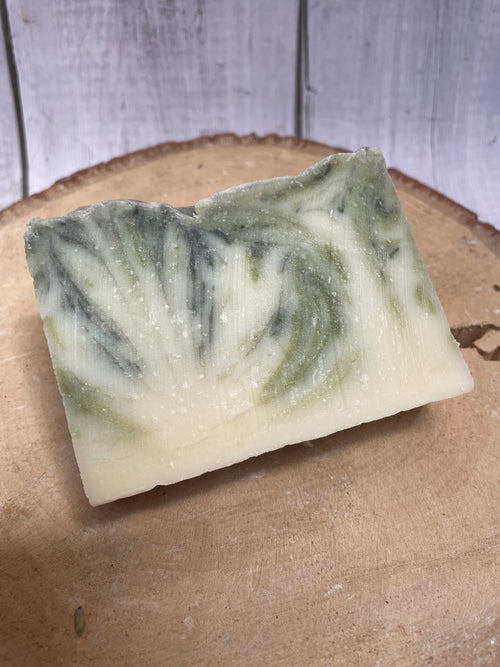 Basics Bargain Box - Eco Friendly Products for everyday use. Plastic Free! - Mad About Nature
