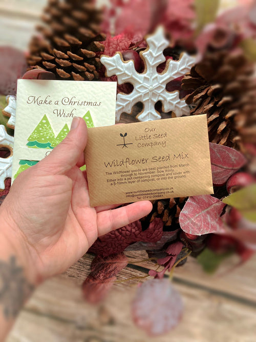 Plantable Christmas gift card by Mad About Nature featuring festive holiday design and embedded seeds for eco-friendly gifting.