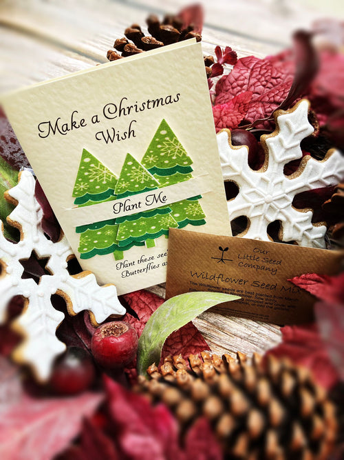 Plantable Christmas gift card from Mad About Nature featuring festive holiday design and eco-friendly, biodegradable paper.